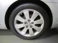 Titanium Metallic - Avalon XLS Photo No. 19