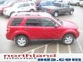 2009 Sangria Red Metallic Ford Escape XLT 4WD  photo #5