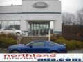 2006 Vista Blue Metallic Ford Mustang GT Premium Coupe  photo #1