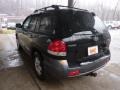 Black Obsidian - Santa Fe GLS 3.5 4WD Photo No. 4