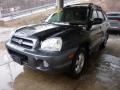Black Obsidian - Santa Fe GLS 3.5 4WD Photo No. 5