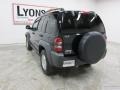 Black Clearcoat - Liberty Sport 4x4 Photo No. 14