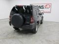 Black Clearcoat - Liberty Sport 4x4 Photo No. 16