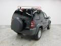 Black Clearcoat - Liberty Sport 4x4 Photo No. 17