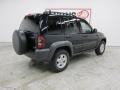 Black Clearcoat - Liberty Sport 4x4 Photo No. 18