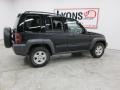 Black Clearcoat - Liberty Sport 4x4 Photo No. 19