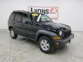 Black Clearcoat - Liberty Sport 4x4 Photo No. 24