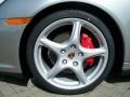 2011 Porsche 911 Carrera 4S Coupe Wheel and Tire Photo