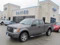 2010 Sterling Grey Metallic Ford F150 STX SuperCab 4x4  photo #1