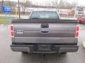 2010 Sterling Grey Metallic Ford F150 STX SuperCab 4x4  photo #5