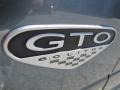 2005 Cyclone Gray Metallic Pontiac GTO Coupe  photo #10