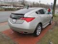 Palladium Metallic 2010 Acura ZDX AWD Technology Exterior