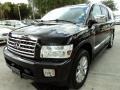 Liquid Onyx Black - QX 56 4WD Photo No. 13