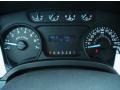 Steel Gray Gauges Photo for 2011 Ford F150 #46561467