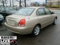 Champagne Metallic - Elantra GLS Sedan Photo No. 6