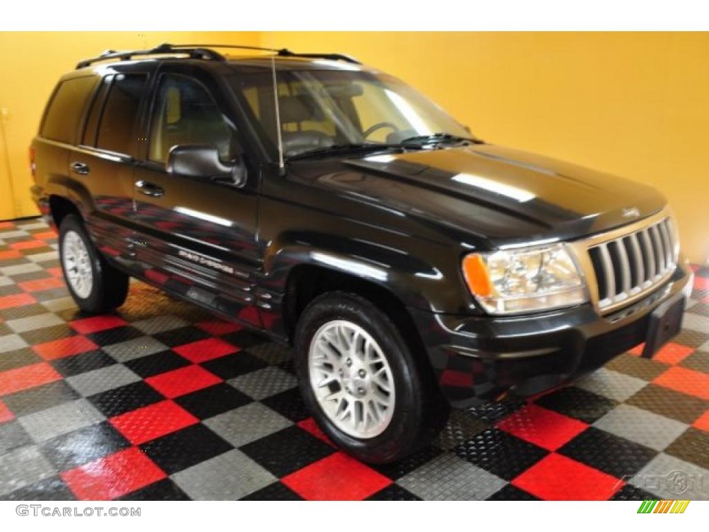 2004 Grand Cherokee Limited 4x4 - Brillant Black Crystal Pearl / Dark Slate Gray photo #1