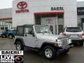 2004 Bright Silver Metallic Jeep Wrangler X 4x4  photo #1