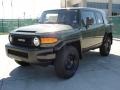 Army Green 2011 Toyota FJ Cruiser 4WD Exterior