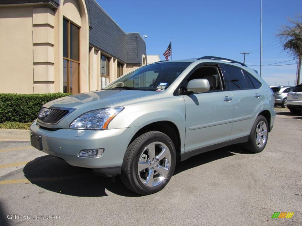 2008 RX 350 - Bamboo Pearl / Light Gray photo #3