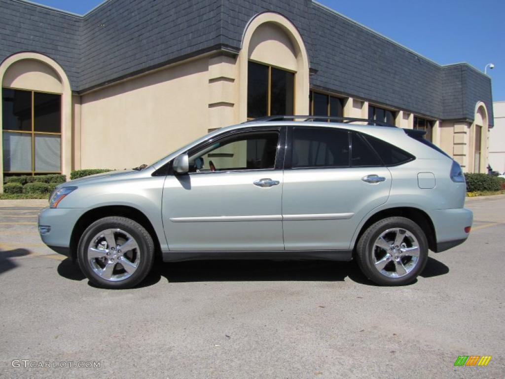 2008 RX 350 - Bamboo Pearl / Light Gray photo #4