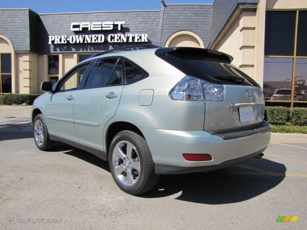 2008 RX 350 - Bamboo Pearl / Light Gray photo #5