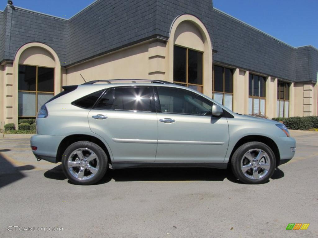 2008 RX 350 - Bamboo Pearl / Light Gray photo #7
