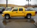 2008 Detonator Yellow Dodge Dakota SLT Crew Cab 4x4  photo #5