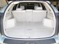 2008 Bamboo Pearl Lexus RX 350  photo #18