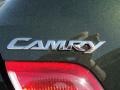 Spruce Green Mica - Camry LE Photo No. 15