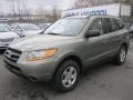 2009 Natural Khaki Hyundai Santa Fe GLS  photo #1