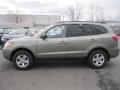 2009 Natural Khaki Hyundai Santa Fe GLS  photo #11