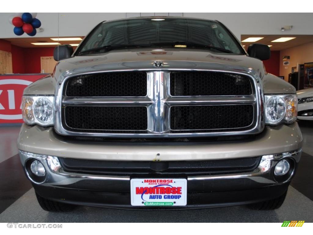 2004 Ram 1500 ST Quad Cab 4x4 - Light Almond Pearl / Dark Slate Gray photo #8