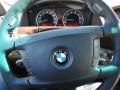 2008 Michigan Blue Metallic BMW 7 Series 750Li Sedan  photo #18