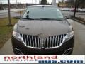 2011 Earth Metallic Lincoln MKX Limited Edition AWD  photo #14