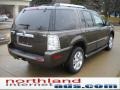 Stone Green Metallic - Mountaineer Premier AWD Photo No. 2