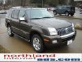 Stone Green Metallic - Mountaineer Premier AWD Photo No. 15