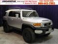 Titanium Metallic - FJ Cruiser 4WD Photo No. 1
