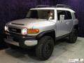 Titanium Metallic - FJ Cruiser 4WD Photo No. 3