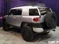 Titanium Metallic - FJ Cruiser 4WD Photo No. 18