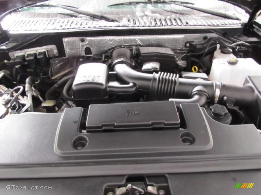 2010 Ford Expedition Eddie Bauer 4x4 5.4 Liter Flex-Fuel SOHC 24-Valve VVT V8 Engine Photo #46586328
