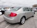 2004 Desert Platinum Metallic Infiniti G 35 x Sedan  photo #8