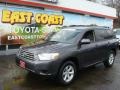 Magnetic Gray Metallic - Highlander 4WD Photo No. 3