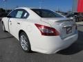 Winter Frost White - Maxima 3.5 SV Photo No. 2