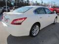 Winter Frost White - Maxima 3.5 SV Photo No. 4