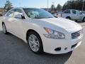Winter Frost White - Maxima 3.5 SV Photo No. 6