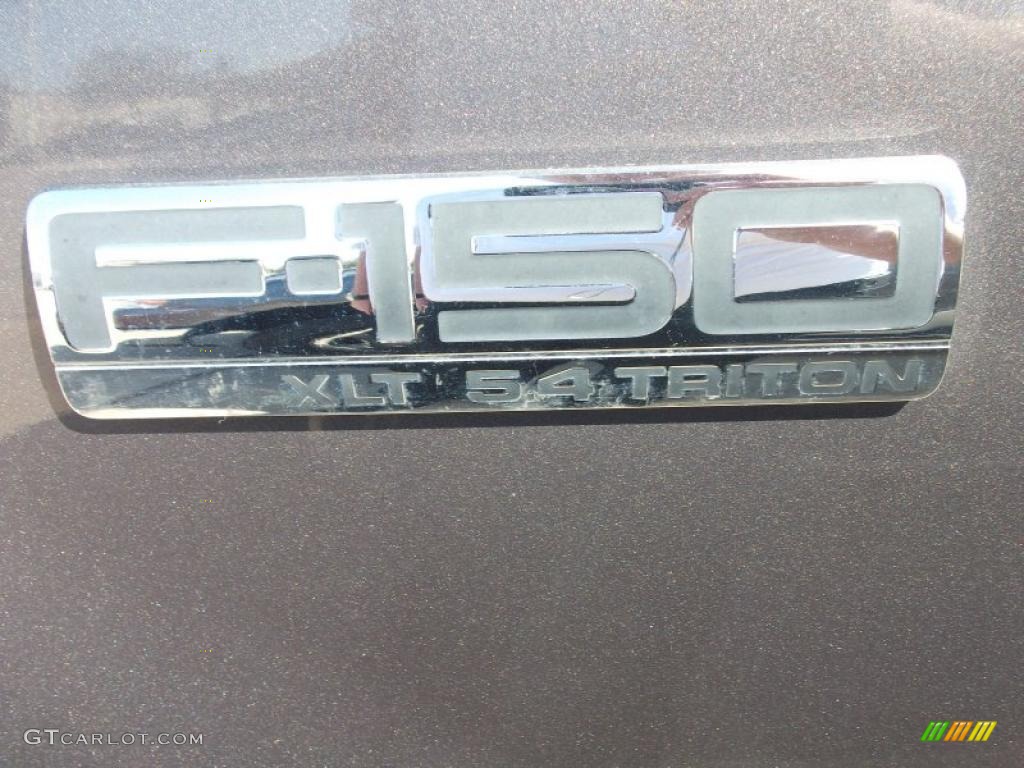 2006 F150 XLT SuperCrew 4x4 - Dark Shadow Grey Metallic / Medium/Dark Flint photo #11