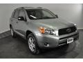 Everglade Metallic - RAV4 4WD Photo No. 7