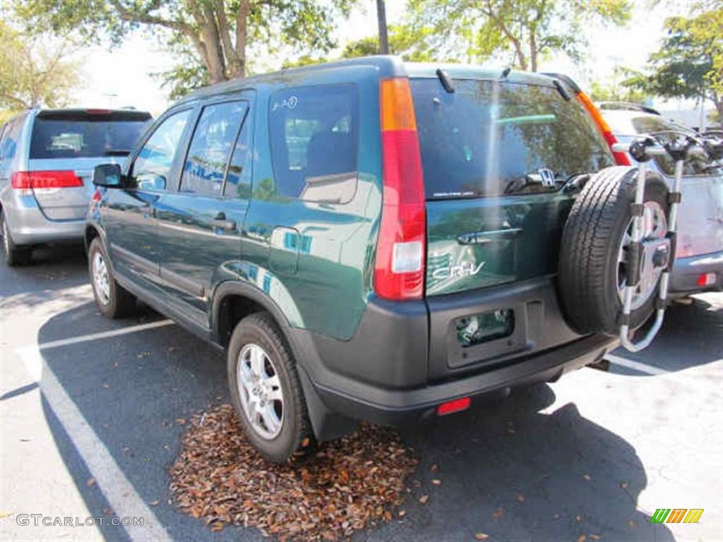2003 CR-V EX 4WD - Clover Green Pearl / Gray photo #3