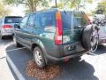 Clover Green Pearl - CR-V EX 4WD Photo No. 3
