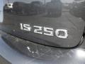 2010 Smoky Granite Mica Lexus IS 250  photo #20